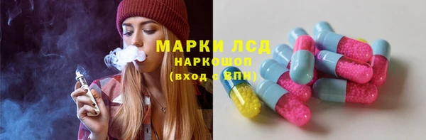 ГАЛЛЮЦИНОГЕННЫЕ ГРИБЫ Горно-Алтайск