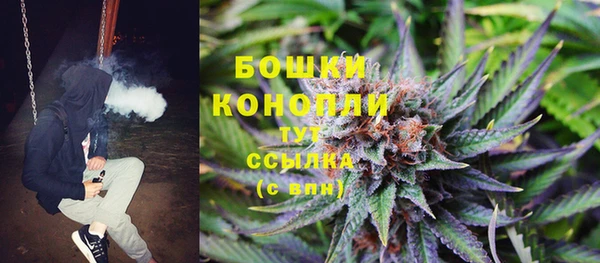 индика Анжеро-Судженск