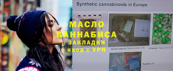 индика Анжеро-Судженск