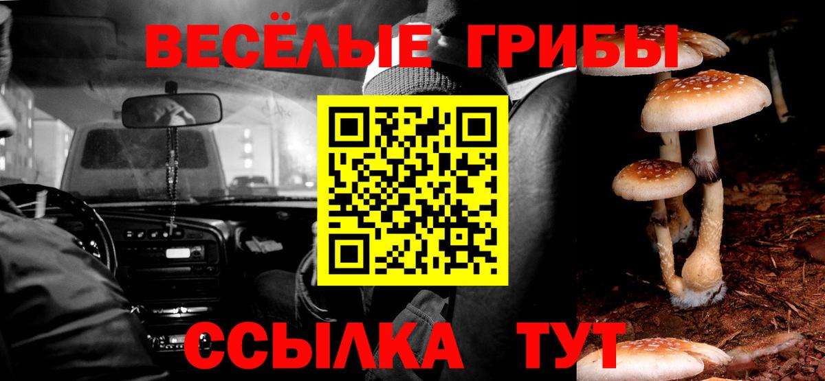 что такое наркотик  Дальнереченск  Псилоцибиновые грибы MAGIC MUSHROOMS  Псилоцибиновые грибы Psilocybe 